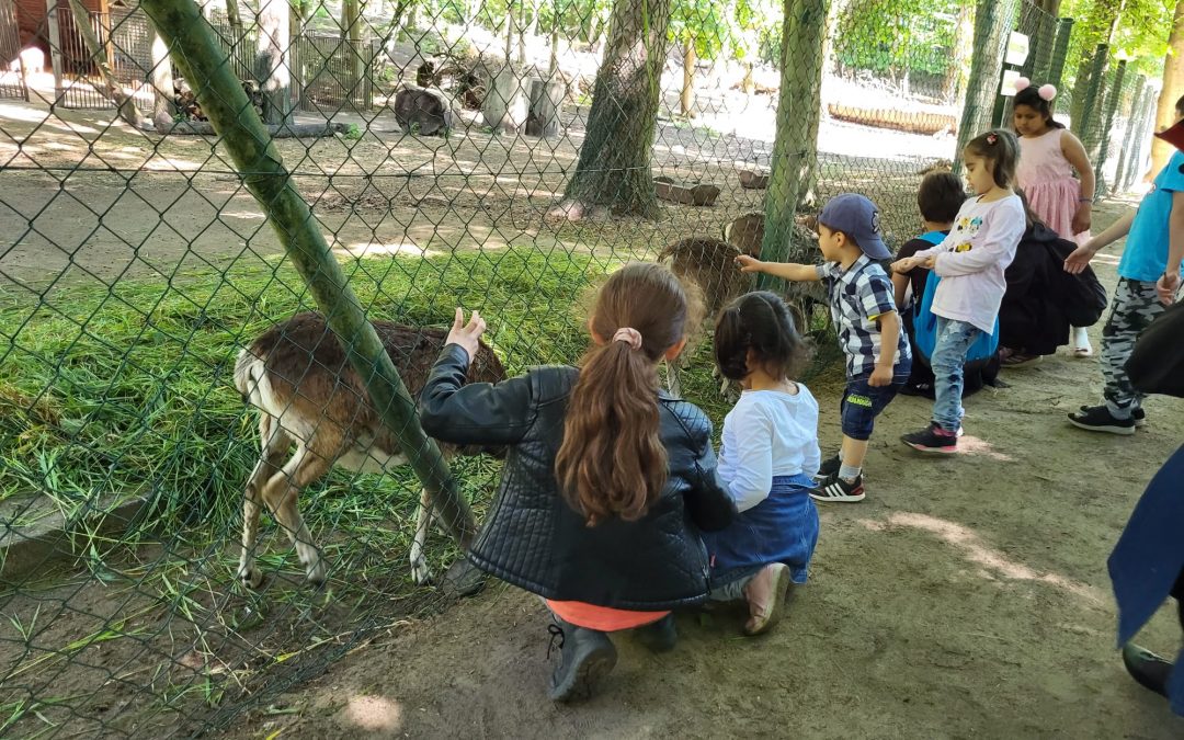 Mehrsprachigkeit erleben im Tiergarten