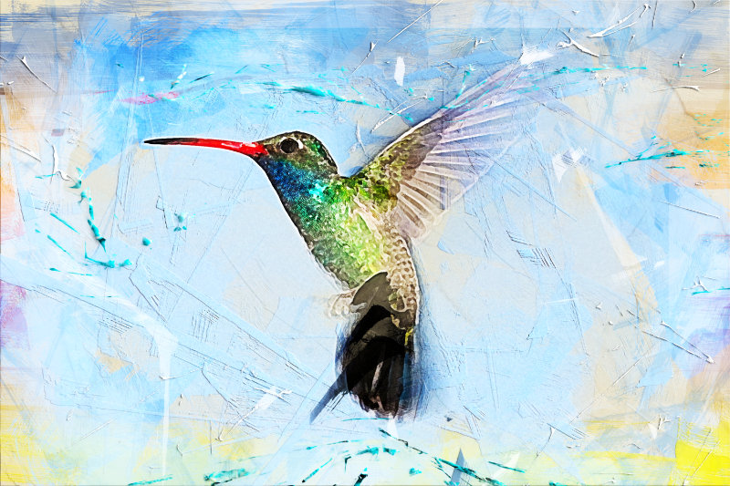 KOLIBRI liest vor